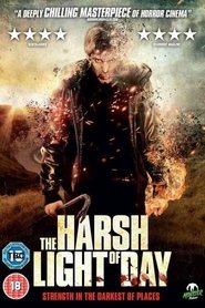 Poster of The Harsh Light of Day image size 566x849