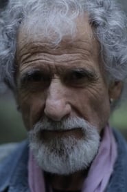 Frank Serpico en streaming