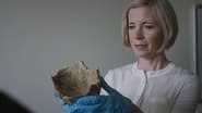 Lucy Worsley Investigates  