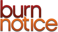 Logo of Burn Notice image size 545x300