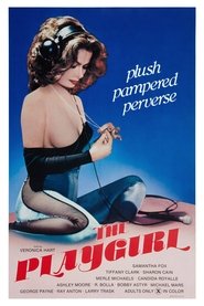 Poster of The Playgirl image size 1908x2861