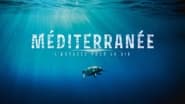 Méditerranée: L'odyssée pour la vie  