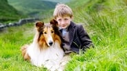 Lassie wallpaper 