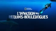 L'invasion des requins-bouledogues wallpaper 