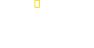 Logo of Becoming Cousteau image size 2562x1300