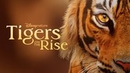 Backdrop of Tigers on the Rise image size 3840x2160