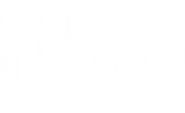 Logo of The Invisible Woman image size 1416x865
