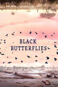 Black Butterflies Poster