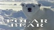 Predators of the Wild: Polar Bear wallpaper 