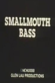 poster Smallmouth Bass