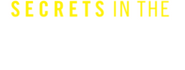 Logo of Secrets in the Marriage image size 1793x678