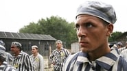 Auschwitz: The Great Escape wallpaper 