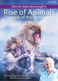 Poster of David Attenborough's Rise of Animals: Triumph of the Vertebrates image size 1067x1500