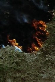 Echo Vocis Imago Poster