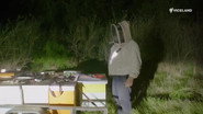 Bee Expansion