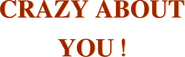 Logo of Crazy About You image size 1569x485
