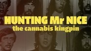 Backdrop of Hunting Mr Nice: The Cannabis Kingpin image size 1920x1080