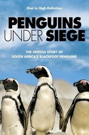 poster Penguins Under Siege