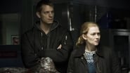 The Killing season 3 episode 11