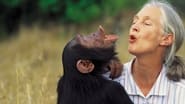 Jane Goodall: Saving Paradise wallpaper 