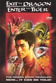 Poster of Exit the Dragon, Enter the Tiger image size 1401x2079