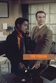 poster The Pigeon