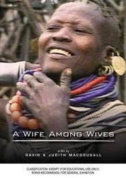 A Wife Among Wives