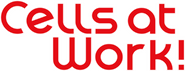 Logo of Cells at Work! image size 1276x491