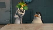 Les pingouins de Madagascar season 1 episode 37