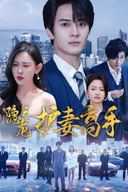 隐龙之护妻高手