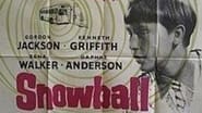Snowball wallpaper 