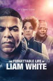 poster The Forgettable Life of Liam White