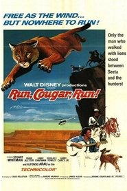 Poster of Run, Cougar, Run image size 696x1044