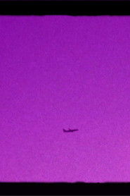 poster Shoegazer's Brown Eye Reverie