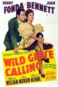 poster Wild Geese Calling