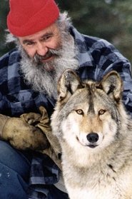 poster Il parle avec les loups