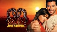 Entre justice et vengeance  