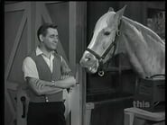 Monsieur Ed, le cheval qui parle season 2 episode 24