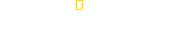 Logo of Great Shark Chow Down image size 4257x1299