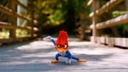 Woody Woodpecker, le film wallpaper 