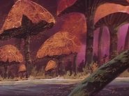 La foresta dei funghi giganti