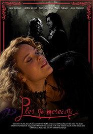 A Dance in the Moonlight