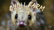 Backdrop of Quoll Farm image size 1422x800