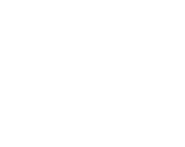 Logo of Steal This House image size 1519x1205