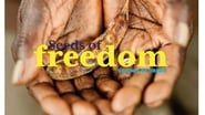 Seeds of Freedom wallpaper 