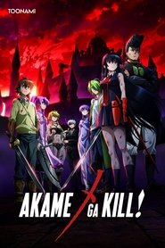 Poster of Akame ga Kill! image size 1000x1500