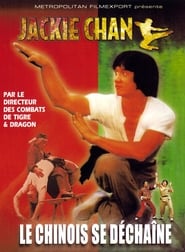 Voir film Le Chinois se déchaîne en streaming