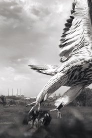 gallery-thumbnail