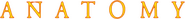Logo of Anatomy image size 1172x122