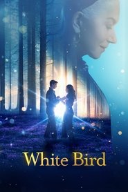 poster White Bird